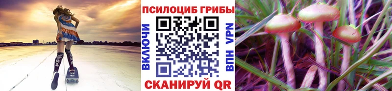 Купить закладки  Новосибирск  Галлюциногенные грибы ЛСД 